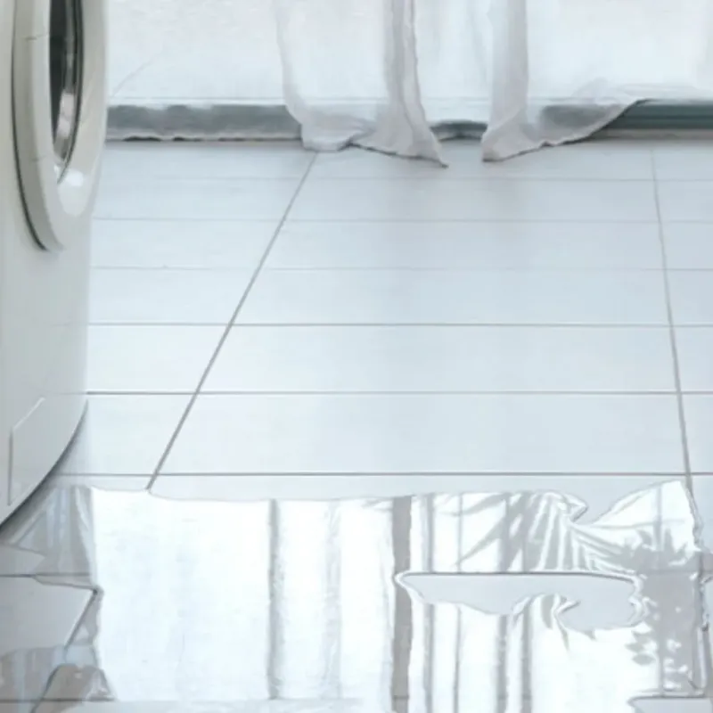 Appliance Leak Cleanup in Memphis, MO