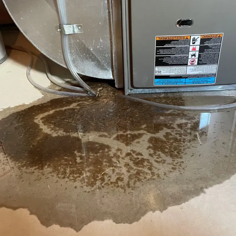 Pipe Burst and Leak Restoration in Memphis, MO