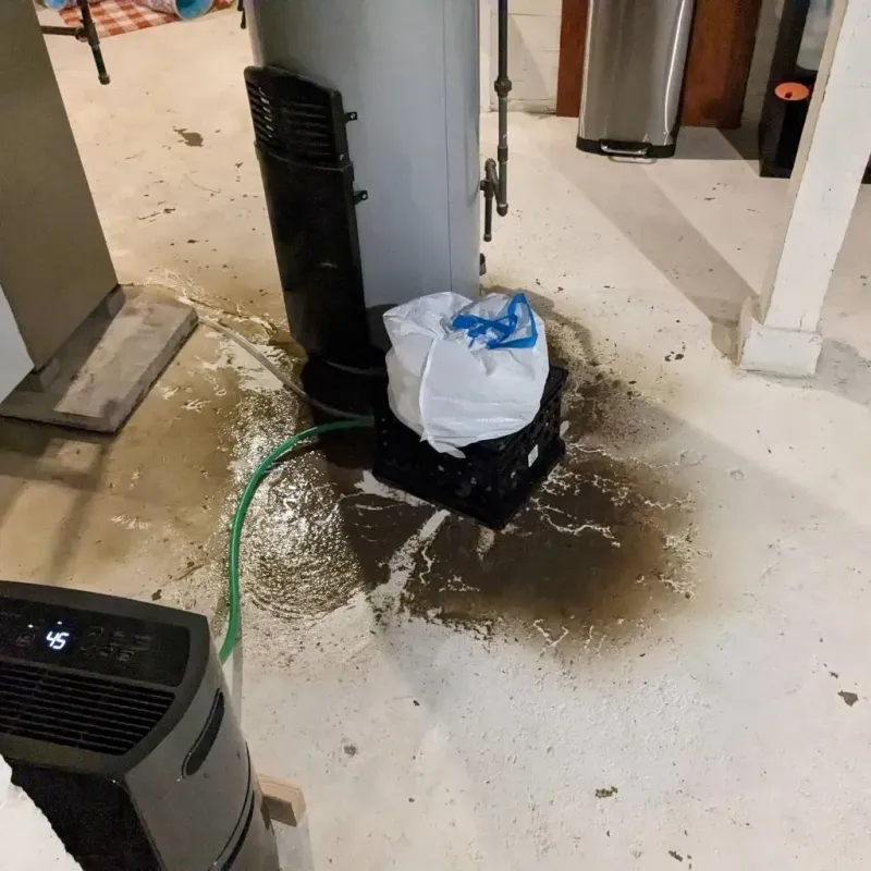 Sewage Backup Cleanup Service in Memphis, MO